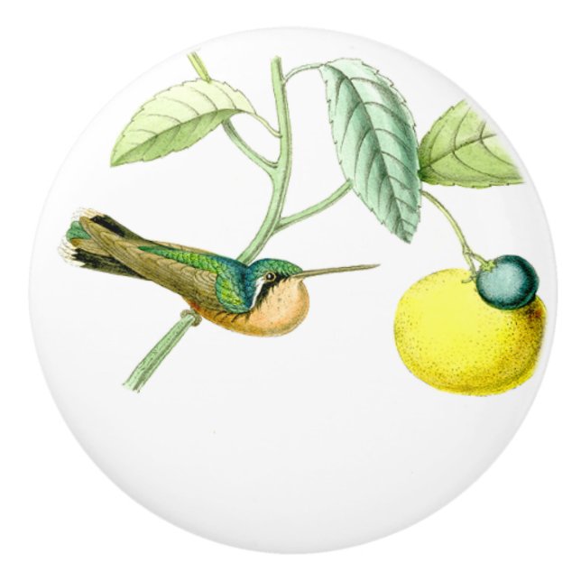 Bouton de fruit d'animaux de faune d'oiseau de (Devant)