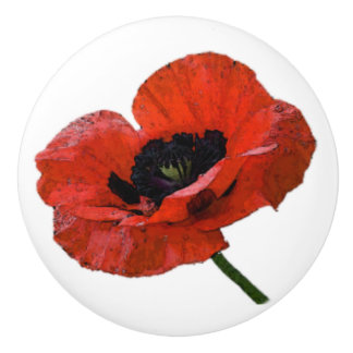 bouton de pavot