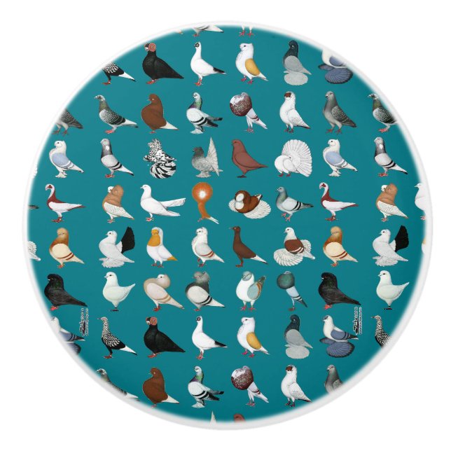 Bouton De Porte En Céramique 36 races de pigeons (Devant)