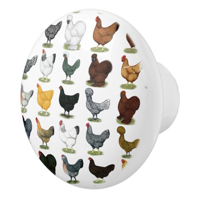 Bouton De Porte En Céramique 49 poules de poulet (Droite)