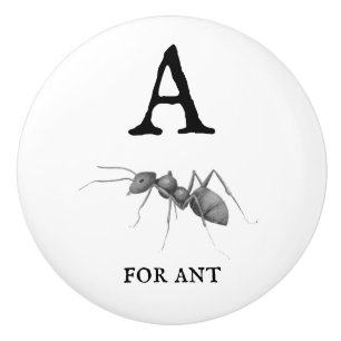 Bouton De Porte En Céramique "A" pour Ant
