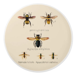 Bouton De Porte En Céramique Abeilles Vintages Six
