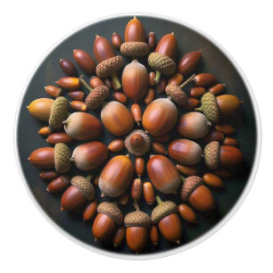 Bouton De Porte En Céramique Acorns