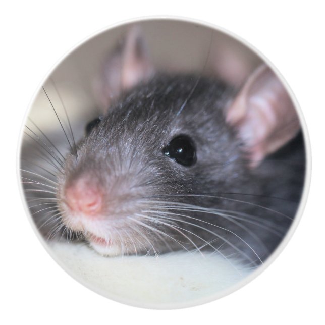 Bouton De Porte En Céramique Adorable (Devant)