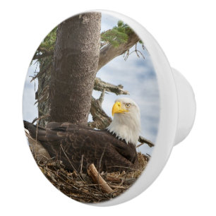Bouton De Porte En Céramique Aigle nicheur