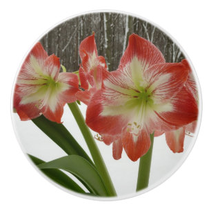 Bouton De Porte En Céramique Amaryllis en Fête Rouge Neige Hiver Floral