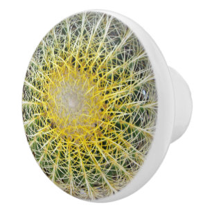 Bouton De Porte En Céramique Amusant Cactus Arid