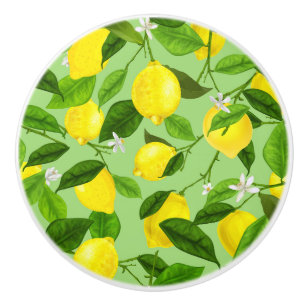 Bouton De Porte En Céramique Aquarelle Citron 3