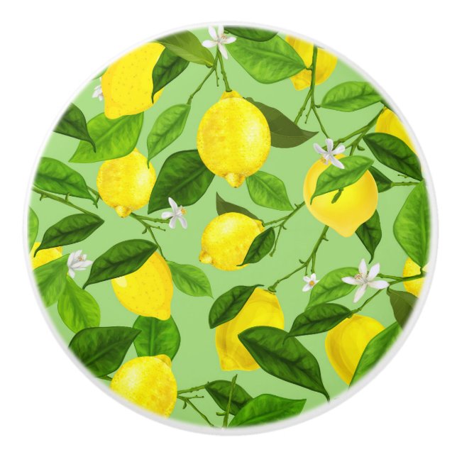 Bouton De Porte En Céramique Aquarelle Citron 3 (Devant)