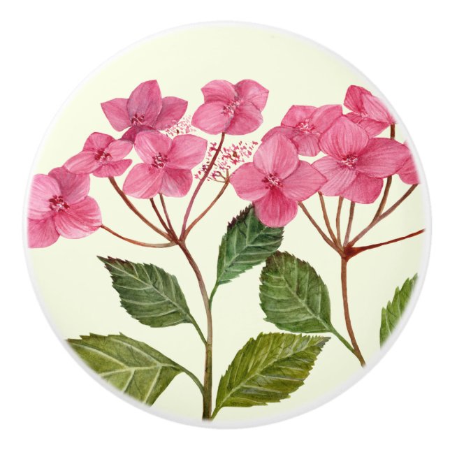 Bouton De Porte En Céramique Aquarelle rose Hydrangea Lacecaps Motif (Devant)