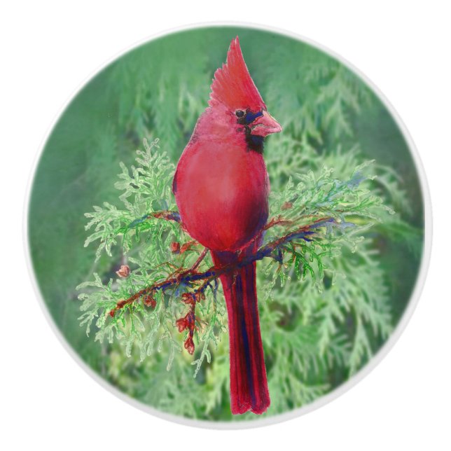 Bouton De Porte En Céramique Aquarelle Rouge Cardinal Oiseau art naturel (Devant)