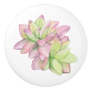 Bouton De Porte En Céramique Aquarelle Succulente à pointe rose