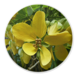 Bouton De Porte En Céramique Arbre à douche dorée Tropical Jaune Floral