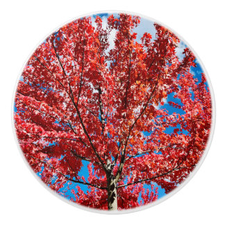 Bouton De Porte En Céramique Arbre à feuilles rouges à l'automne