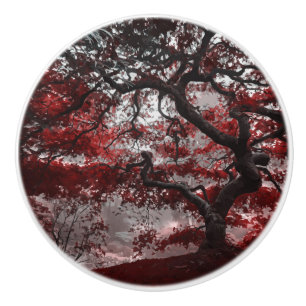 Bouton De Porte En Céramique Arbre rouge en fleurs de cerisiers
