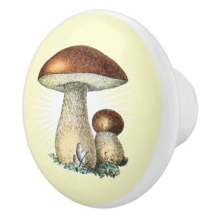 Bouton De Porte En Céramique Art du champignon vintage