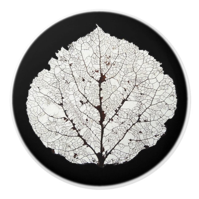 Bouton De Porte En Céramique Aspen Feuille Squelette 1 (Devant)
