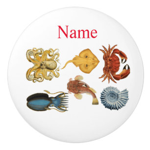 Bouton De Porte En Céramique Association d'apaces de mer uniques Thunder_Cove