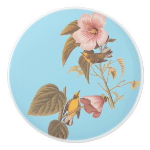 Bouton De Porte En Céramique Audubon Bleu aile Jaune Paruline Oiseau