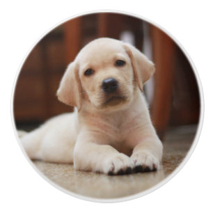 Bouton De Porte En Céramique Baby Yellow Labrador Puppy Dog posé sur le ventre