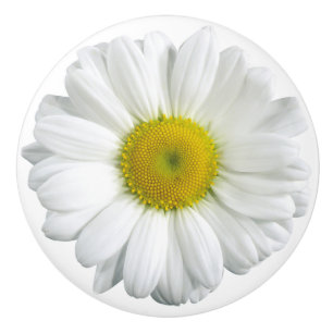 Bouton De Porte En Céramique Basilique blanche et jaune assez