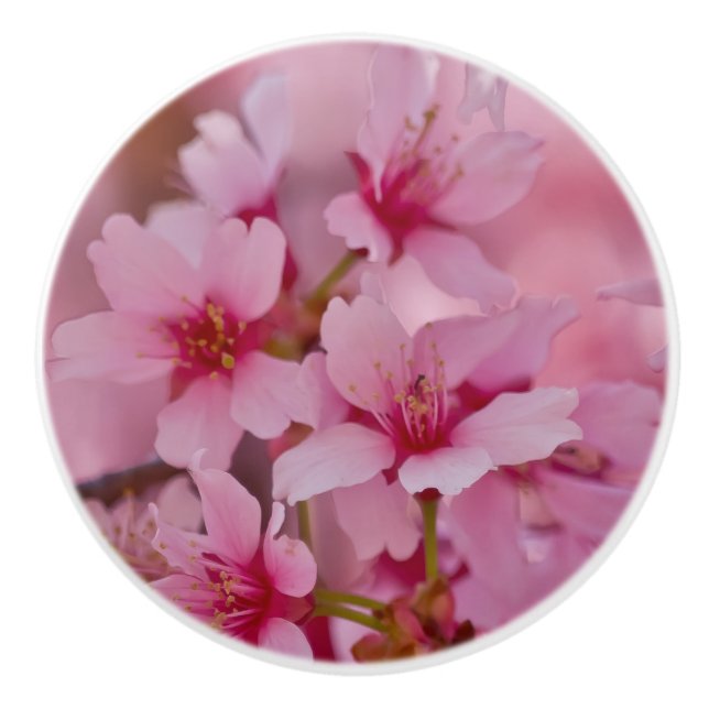 Bouton De Porte En Céramique Bathed in Pink Japanese Cherry (Devant)
