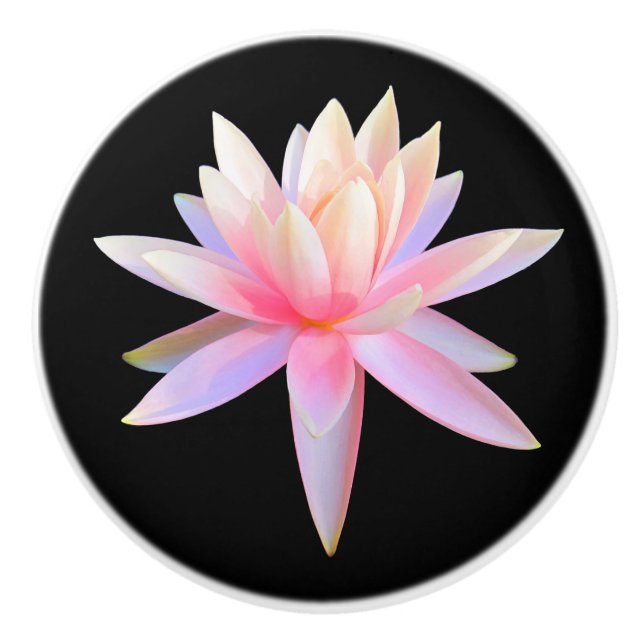 Bouton De Porte En Céramique Beau Motif rose blanc Lotus (Devant)