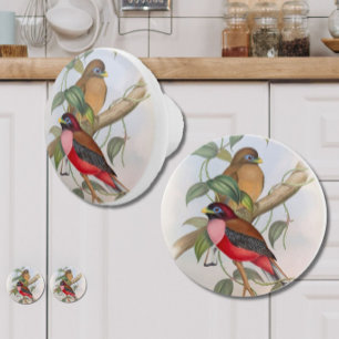 Bouton De Porte En Céramique Beau Oiseaux Vintages Ceramic Knob - Rouge et Tan