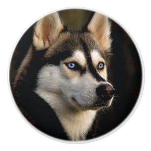 Bouton De Porte En Céramique Beau Oreiller Husky Lrow