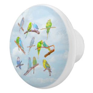 Bouton De Porte En Céramique Beaucoup de perroquets colorés - petits oiseaux mi