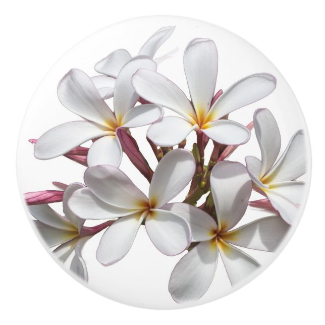 Bouton De Porte En Céramique Belle fleur blanche de Plumeria ou de Frangipani (Devant)