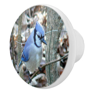 Bouton De Porte En Céramique Belle Jay Bleu