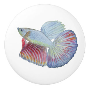 Bouton De Porte En Céramique Betta Fish Ceramic Knob