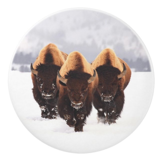Bouton De Porte En Céramique Bison en céramique de trois bisons (Devant)