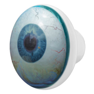 Bouton De Porte En Céramique Bleu Eyeball Déplaisant Eye Boy's Décor de chambre