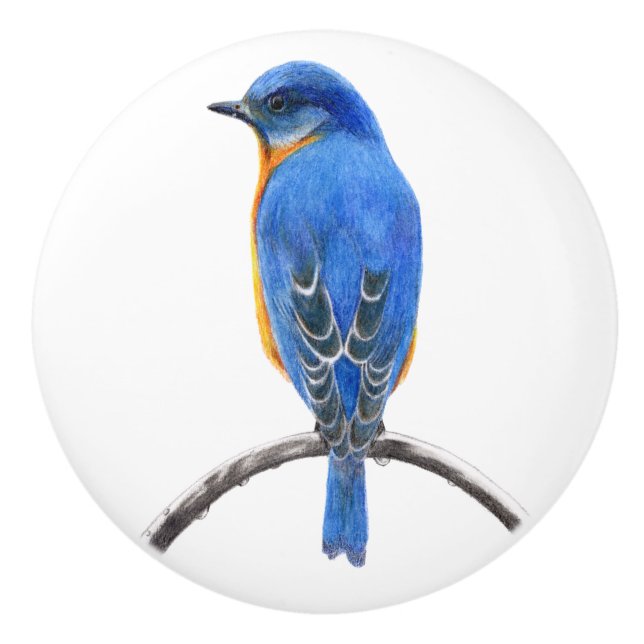 Bouton De Porte En Céramique Bluebird (Devant)