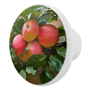BOUTON DE PORTE EN CÉRAMIQUE "BLUSHING PINK APPLES" KNOB CÉRAMIQUE