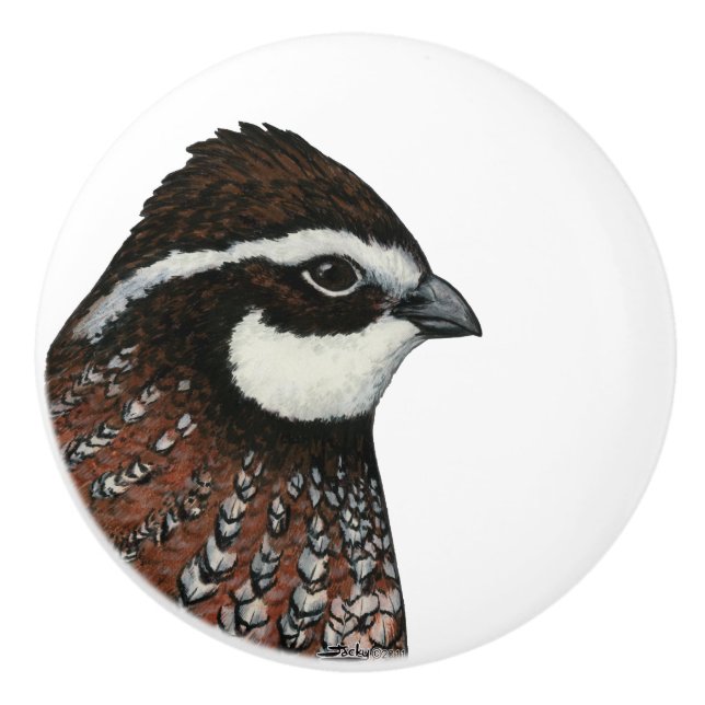 Bouton De Porte En Céramique Bobwhite Quail Head (Devant)