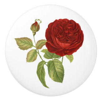 Bouton De Porte En Céramique Botanique vintage de Rose rouge