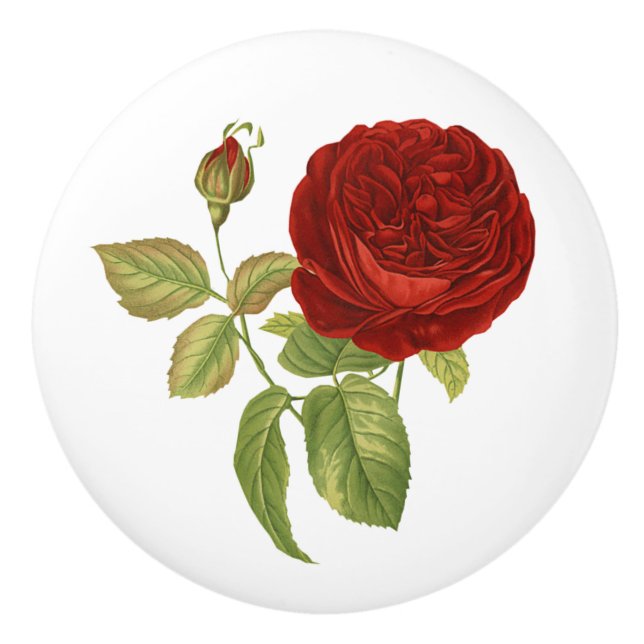Bouton De Porte En Céramique Botanique vintage de Rose rouge (Devant)