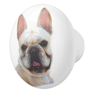 Bouton De Porte En Céramique Bouledogue français heureux