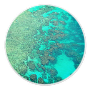 Bouton De Porte En Céramique Boulon en céramique de Coral Reef