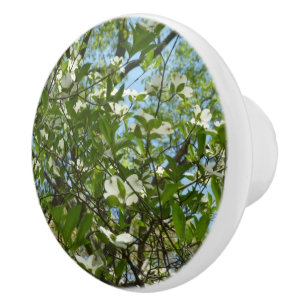 Bouton De Porte En Céramique Branche of Dogwood Blossoms Spring Trees