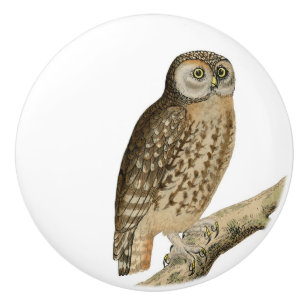 Bouton De Porte En Céramique Brown Owl Art vintage