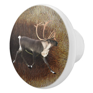 Bouton De Porte En Céramique Bull Caribou (Reindeer)