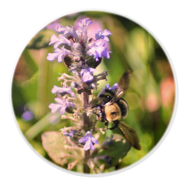 Bouton De Porte En Céramique Bumble Abeille Sur Fleur Violet Haut (Devant)