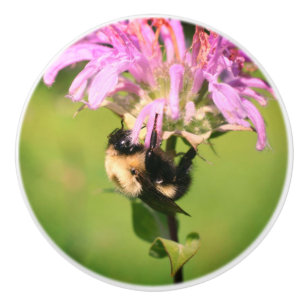 Bouton De Porte En Céramique Bumble Bee On Bee Balm Flower Close Up