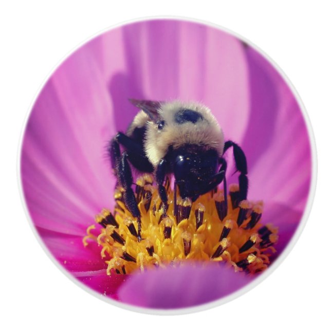 Bouton De Porte En Céramique Bumble Bee On Cosmos Flower   (Devant)
