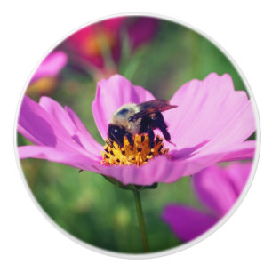 Bouton De Porte En Céramique Bumble Bee Sur Fleur Cosmos Rose