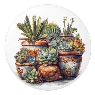 Bouton De Porte En Céramique Cactus et succulents